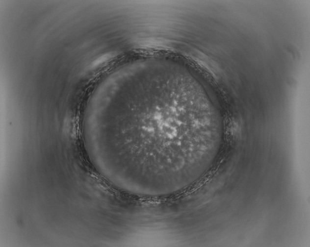 X0000111800965200908201150