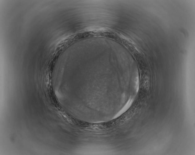 X0000111800966200908201150