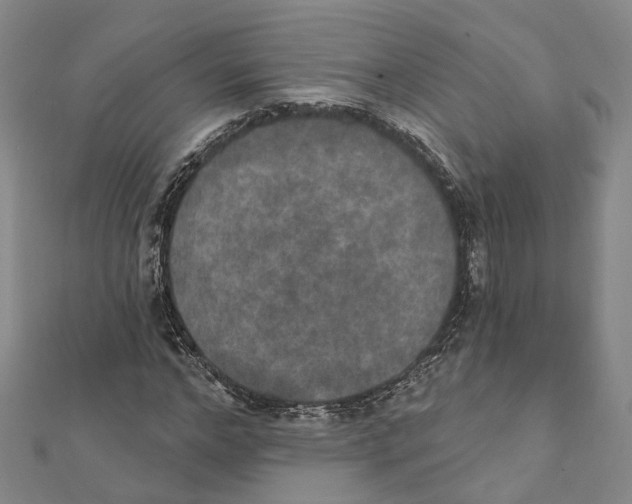 X0000111800968200908201150