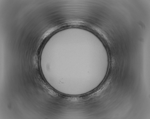 X0000111800970200908201150