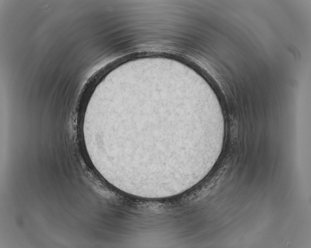 X0000111800971200908201150