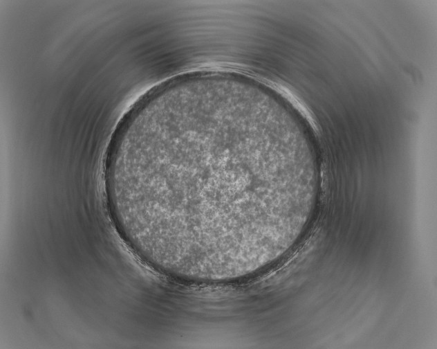 X0000111800972200908201150