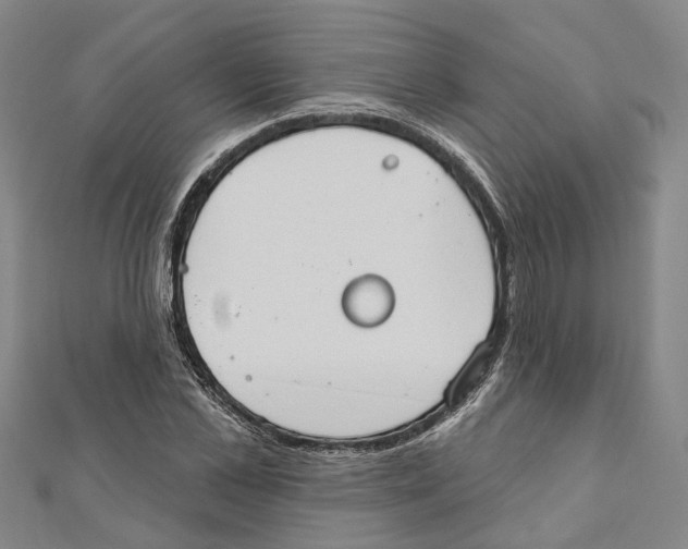 X0000111800973200908201150