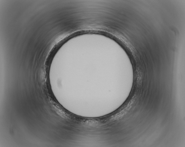 X0000111800974200908201150