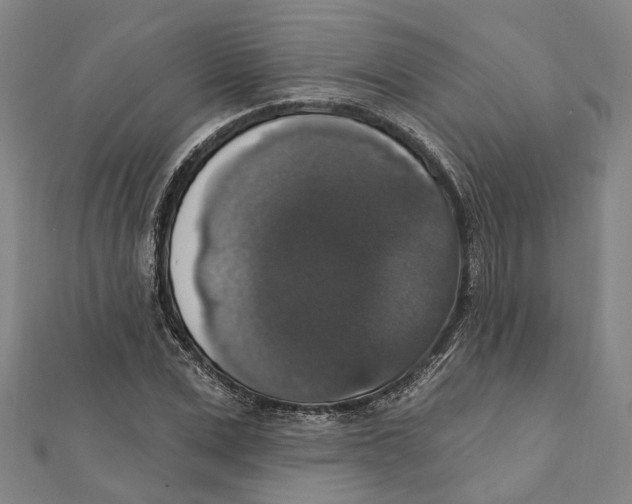 X0000111800975200908201150