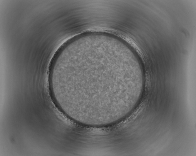 X0000111800976200908201150