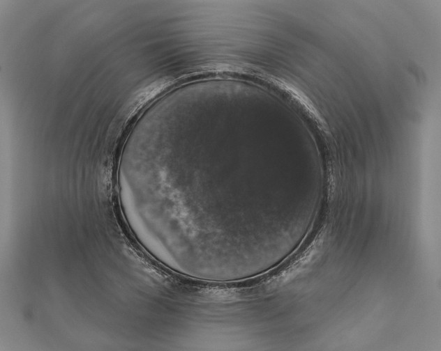 X0000111800977200908201150
