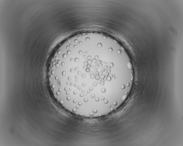 X0000111800978200908201150