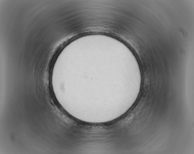 X0000111800979200908201150