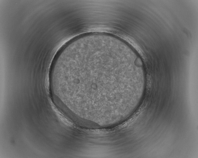 X0000111800980200908201150