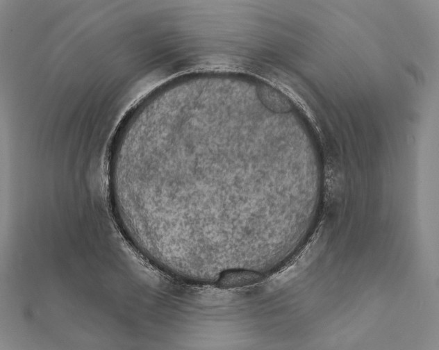 X0000111800981200908201149