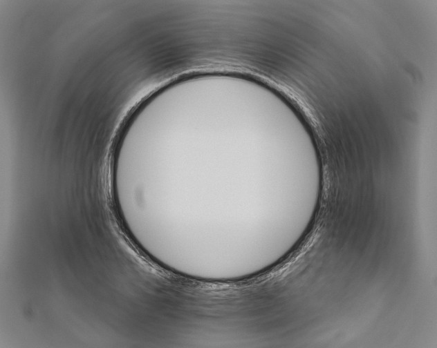 X0000111800982200908201149