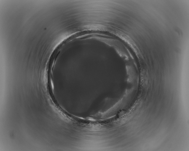 X0000111800983200908201149