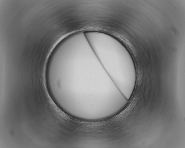 X0000111800984200908201149