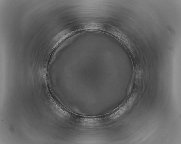 X0000111800985200908201149