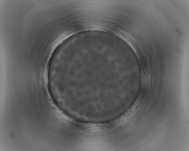 X0000111800987200908201149