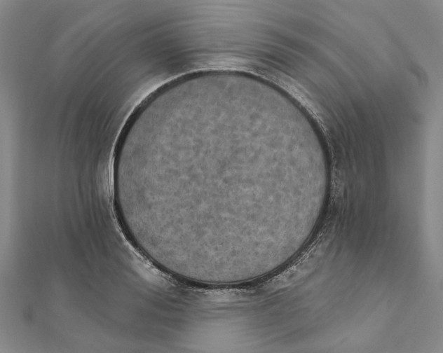 X0000111800988200908201149