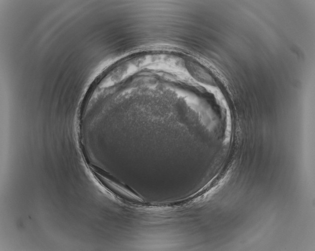X0000111800989200908201149
