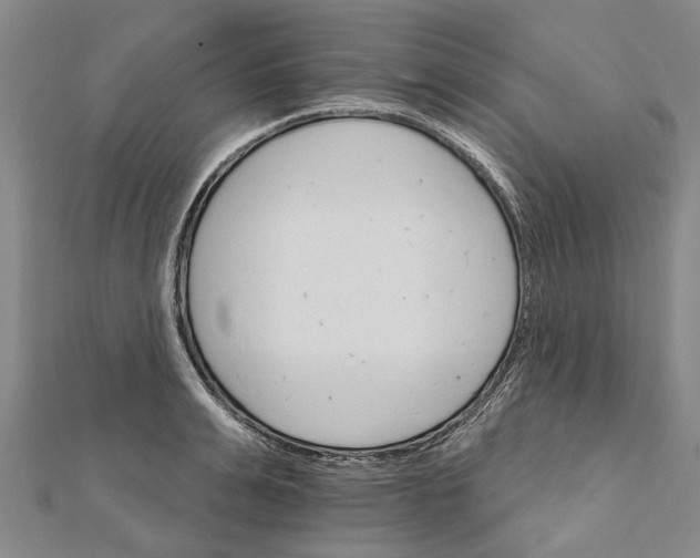 X0000111800991200908201149