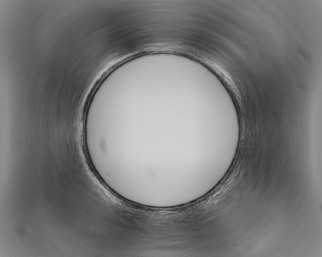 X0000111800992200908201149