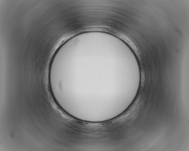 X0000111800994200908201149