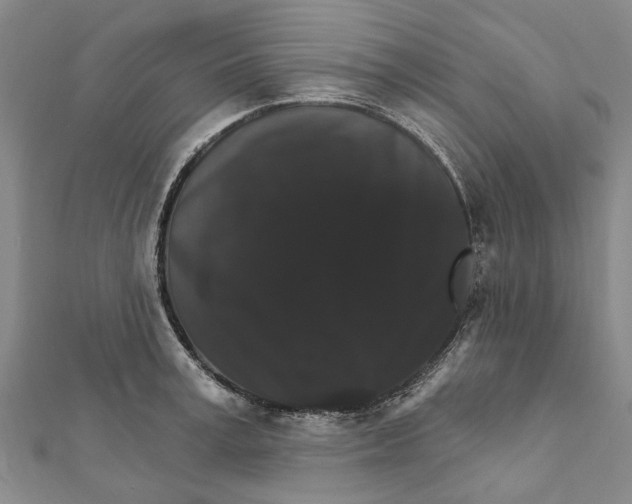 X0000111800995200908201149