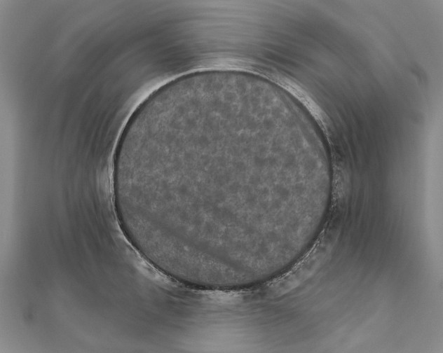 X0000111800996200908201149