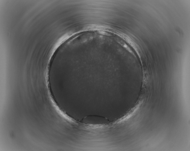 X0000111800997200908201149