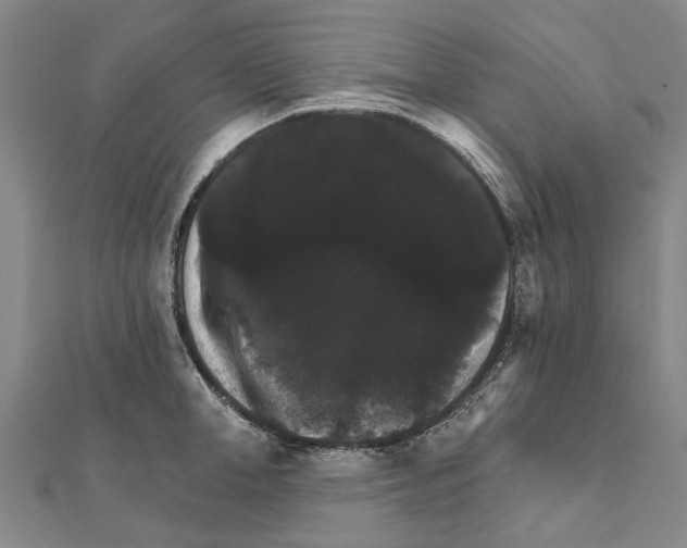 X0000111800998200908201149