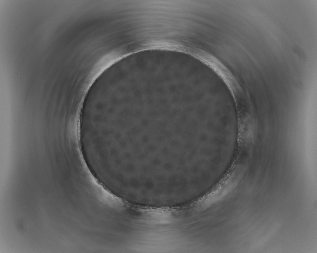 X0000111800999200908201149
