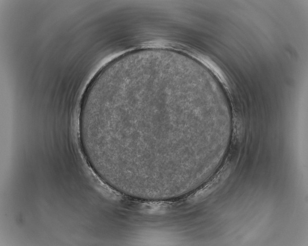 X0000111801000200908201149