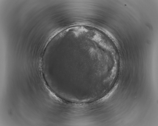 X0000111801001200908201149