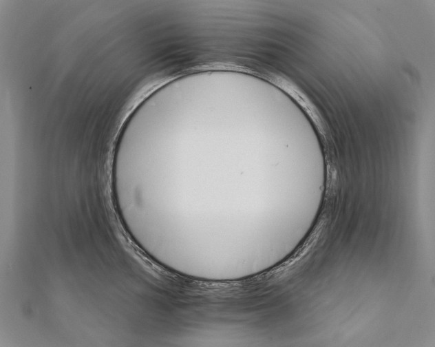 X0000111801002200908201149
