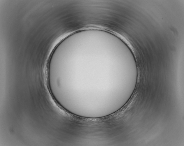 X0000111801003200908201149