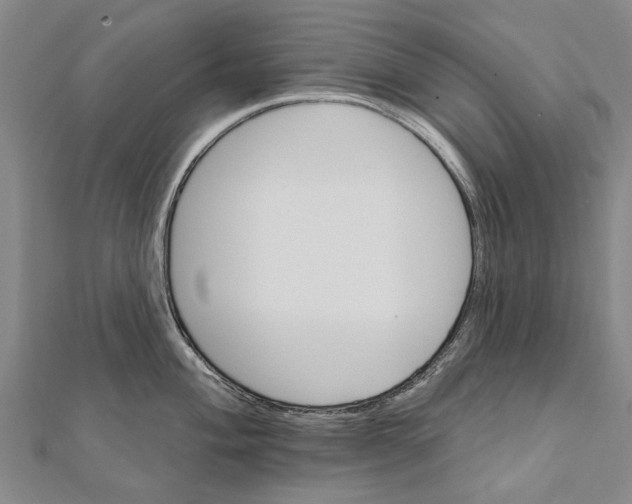 X0000111801004200908201149