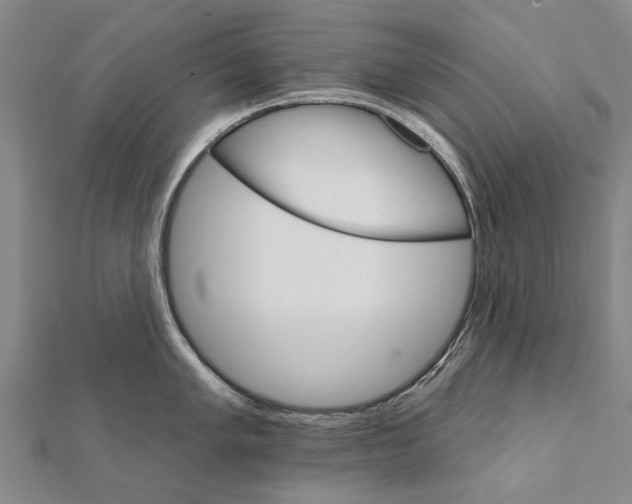 X0000111801005200908201149