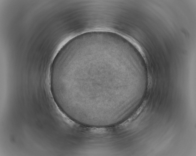 X0000111801006200908201149