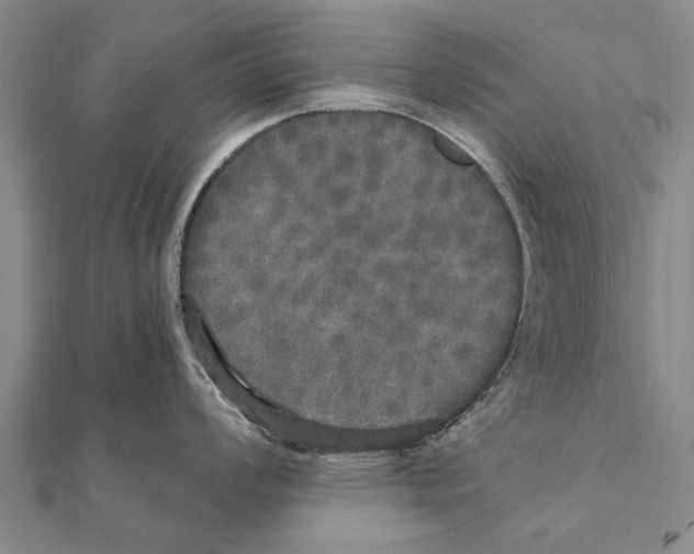 X0000111801008200908201149
