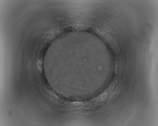 X0000111801010200908201149