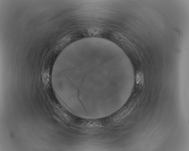 X0000111801011200908201149