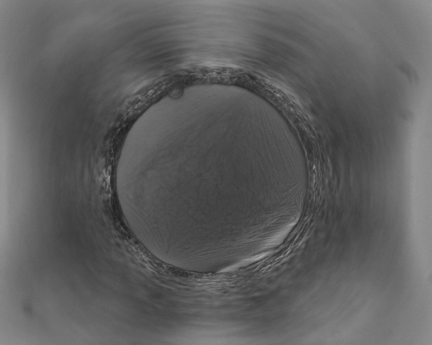 X0000111801013200908201149