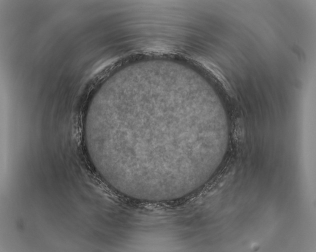 X0000111801015200908201149