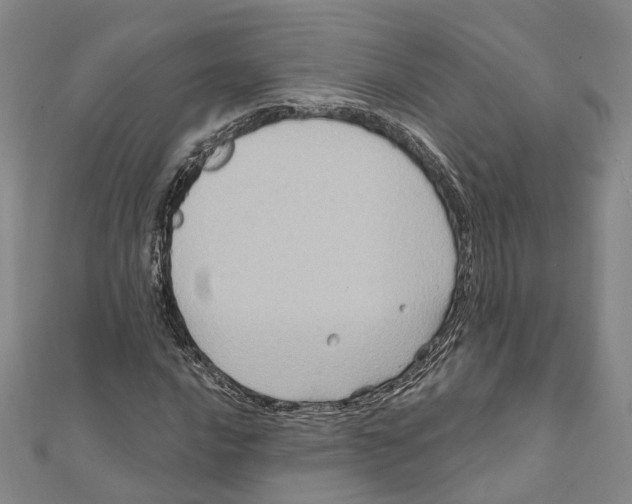 X0000111801016200908201149