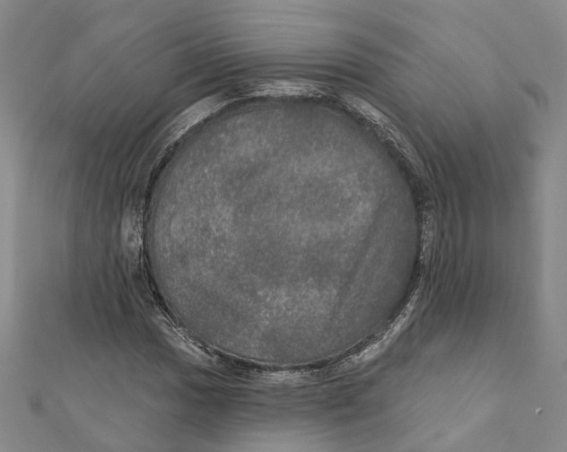 X0000111801017200908201149