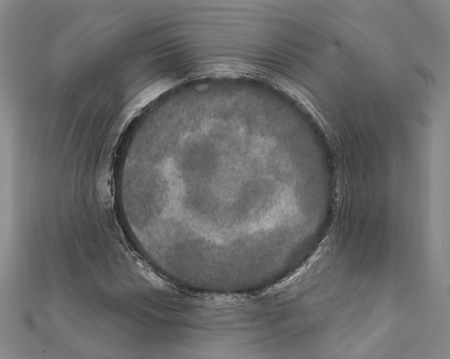 X0000111801018200908201149