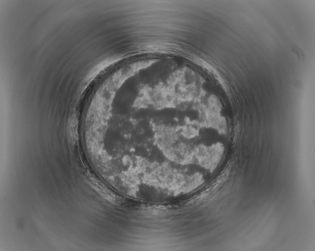 X0000111801019200908201149