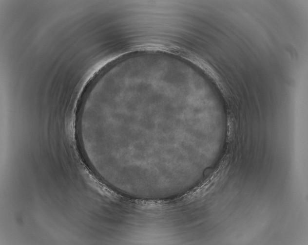 X0000111801020200908201149