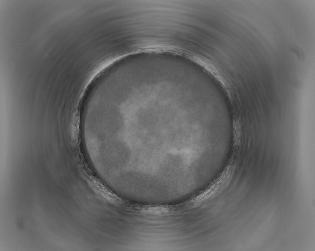 X0000111801021200908201149
