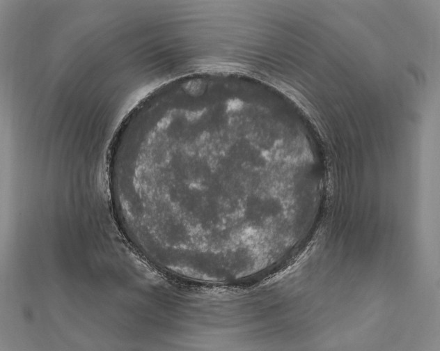 X0000111801022200908201149