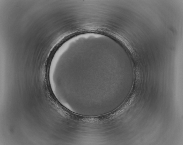 X0000111801023200908201149